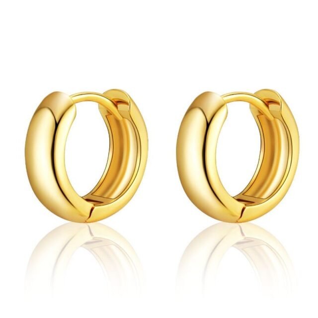 Women's Signature Titanium Steel Earrings - Minimalist Electroplated | Amara Collection