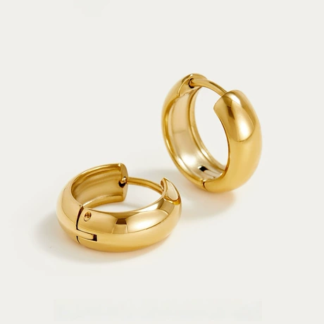 Women's Signature Titanium Steel Earrings - Minimalist Electroplated | Amara Collection